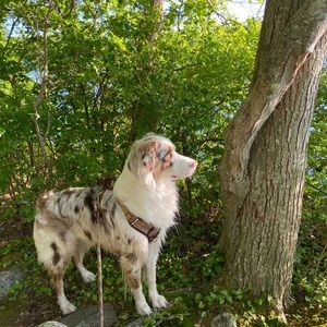 Meet your Posher, Kerri